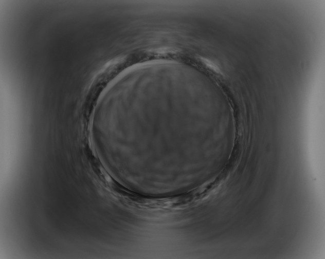 X0000086221398200704261827