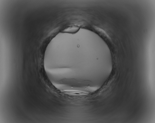 X0000086221399200704261827