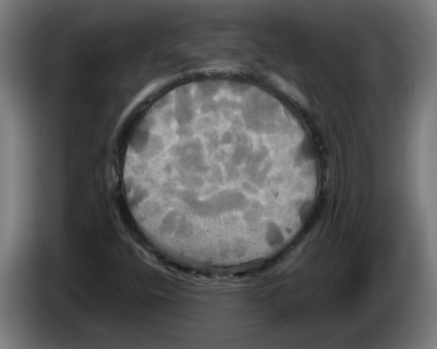 X0000086221400200704261827