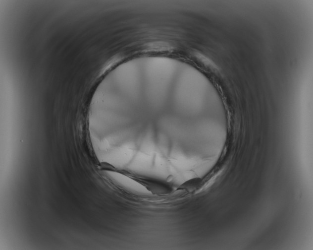 X0000086221401200704261827