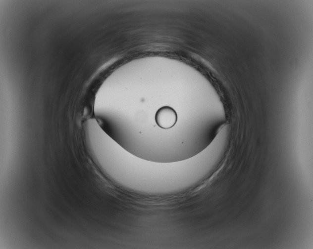 X0000086221402200704261827