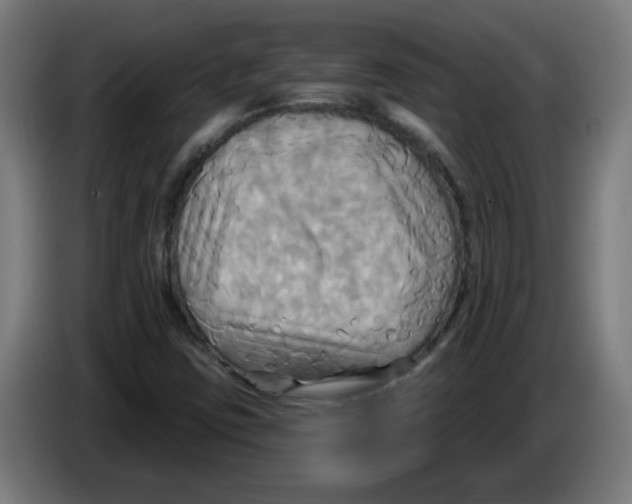 X0000086221403200704261827