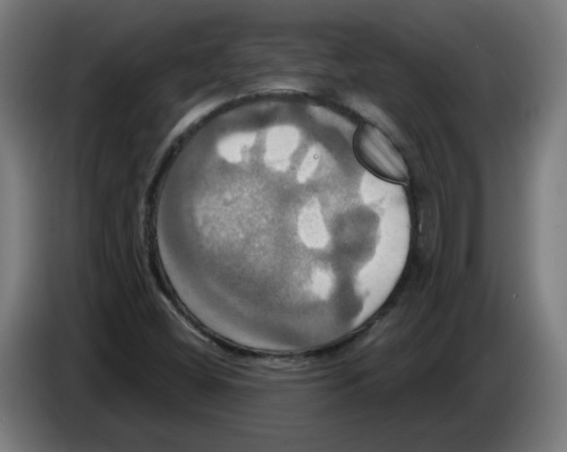 X0000086221404200704261827