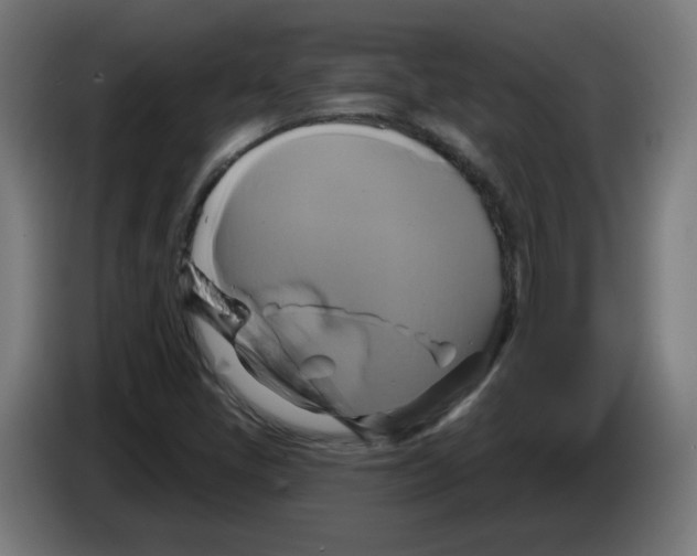 X0000086221405200704261827