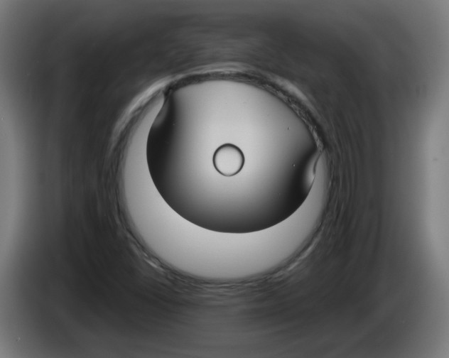 X0000086221406200704261827