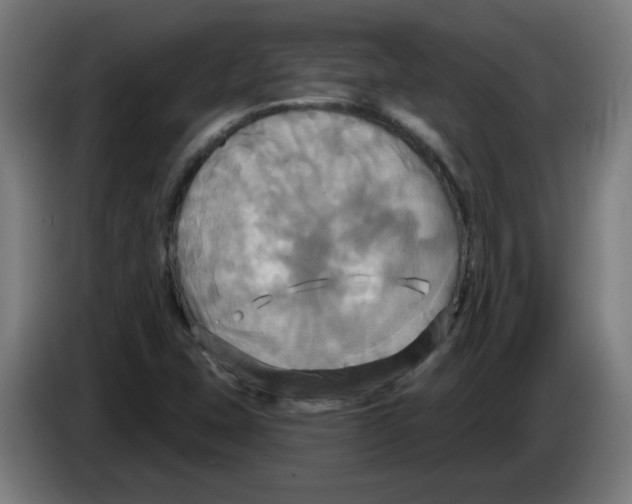 X0000086221407200704261827