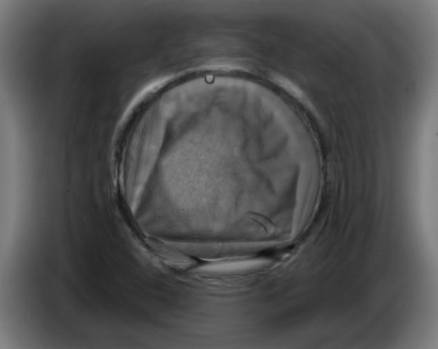 X0000086221408200704261827