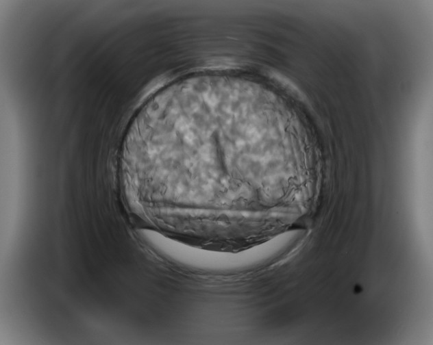 X0000086221409200704261827