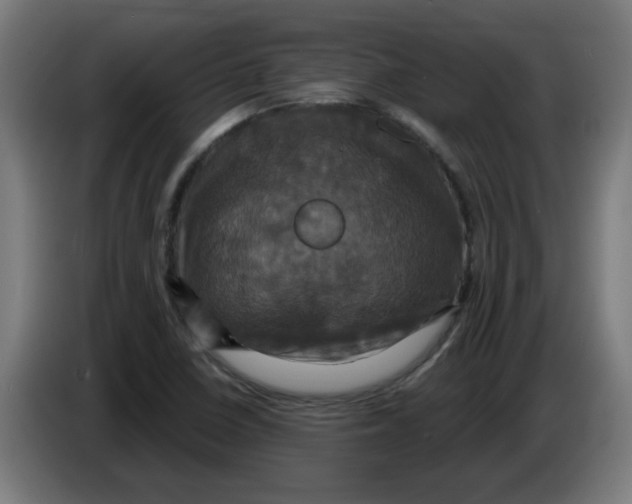 X0000086221410200704261827