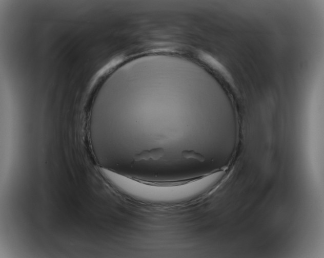 X0000086221411200704261827