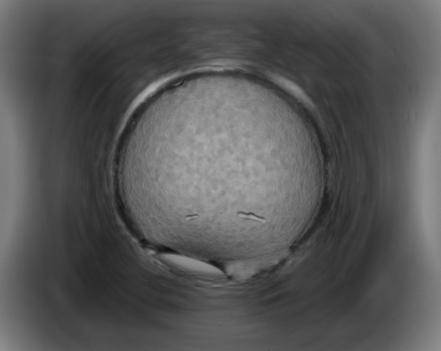 X0000086221412200704261827