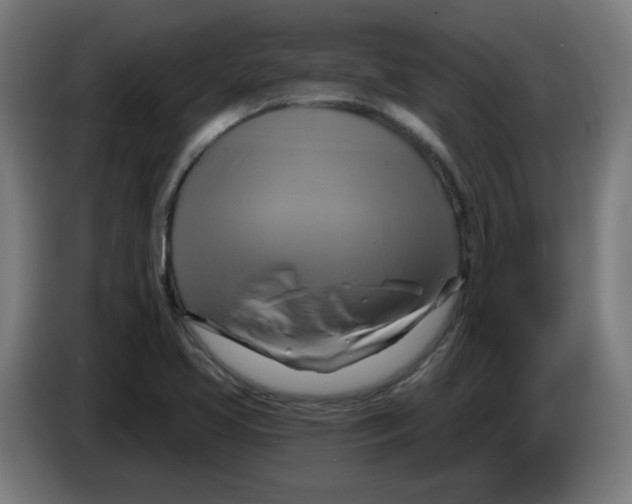 X0000086221413200704261827