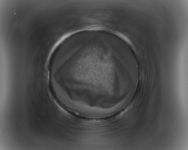 X0000086221414200704261827