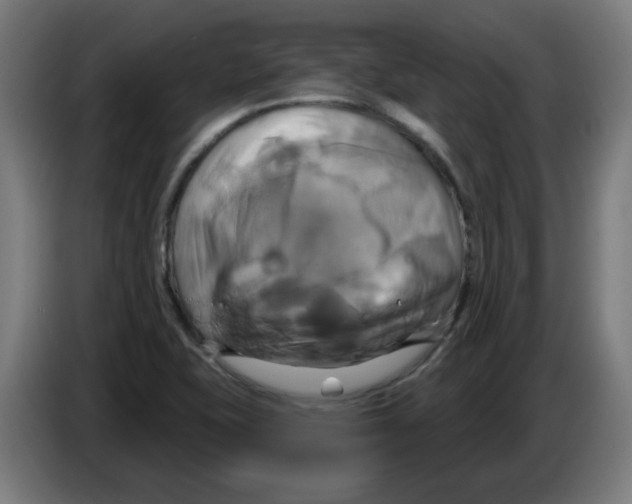 X0000086221415200704261827