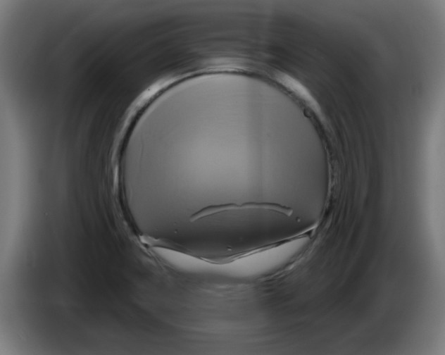 X0000086221419200704261827