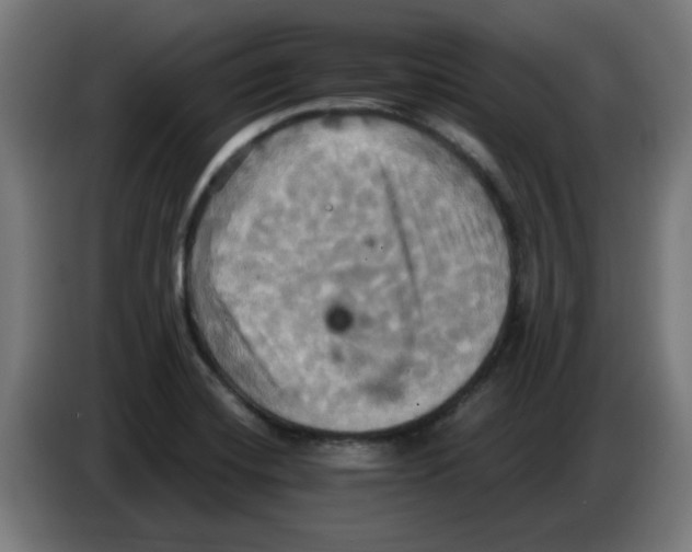 X0000086221420200704261827