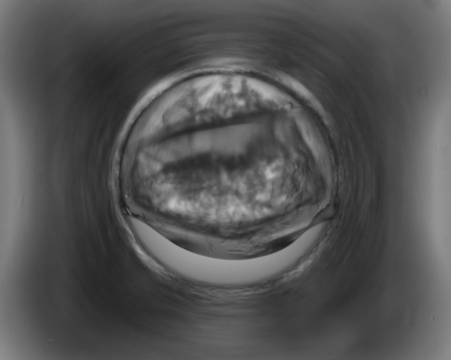 X0000086221421200704261827