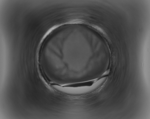 X0000086221422200704261827