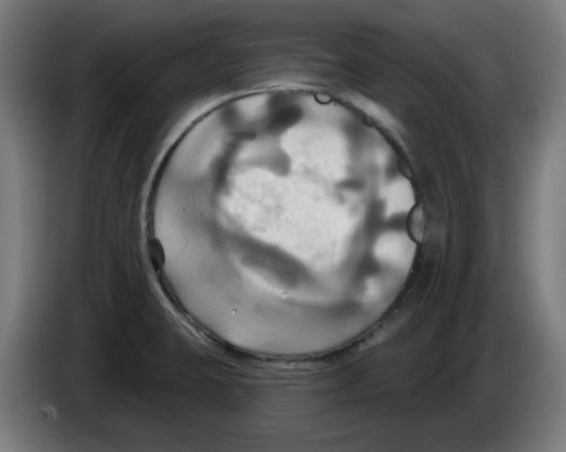 X0000086221423200704261827