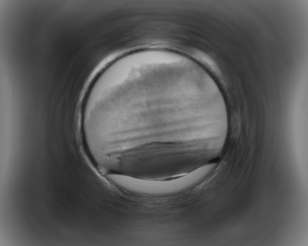 X0000086221424200704261827