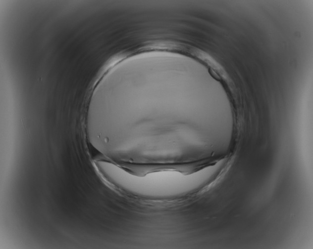 X0000086221425200704261827