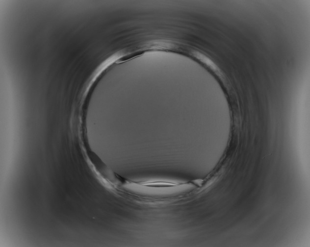 X0000086221426200704261827