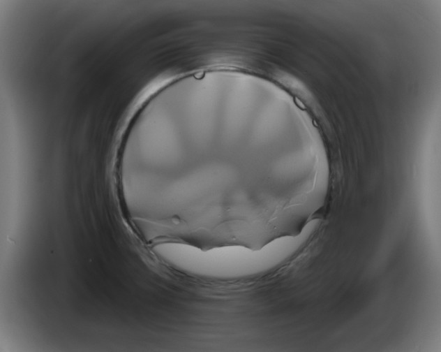 X0000086221427200704261827