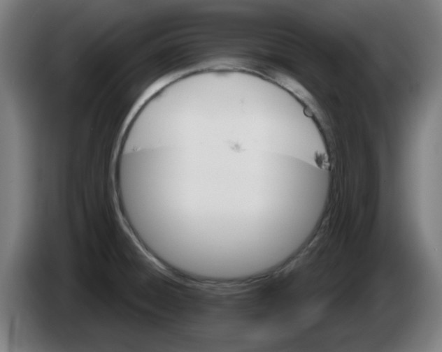 X0000086221428200704261827