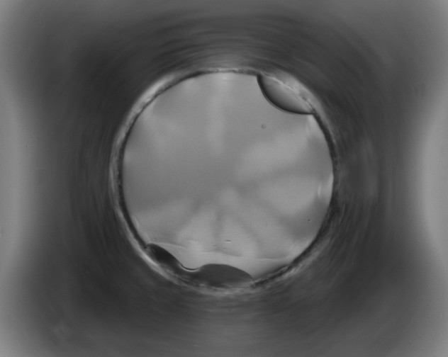 X0000086221429200704261827