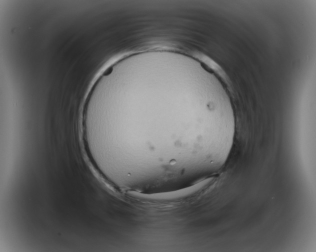 X0000086221431200704261827