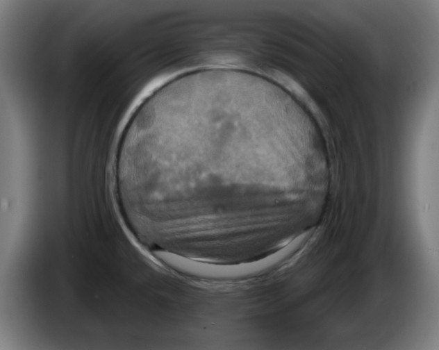 X0000086221432200704261827