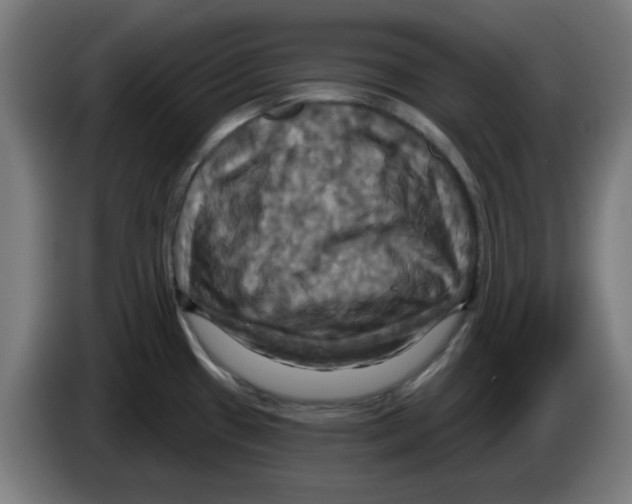 X0000086221433200704261827