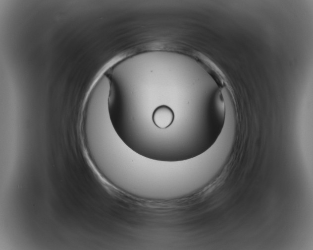 X0000086221434200704261827