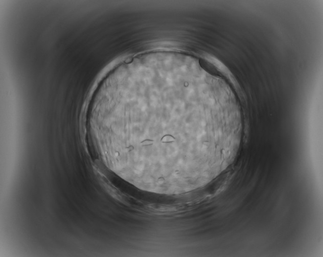 X0000086221435200704261827