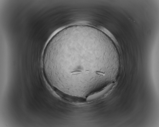 X0000086221436200704261827