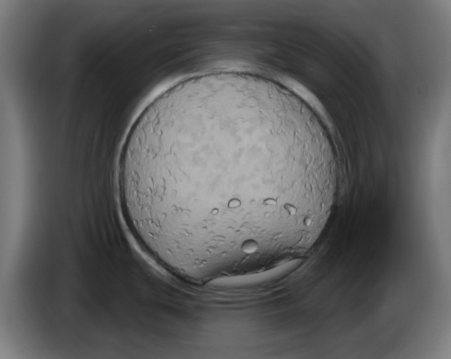 X0000086221439200704261827