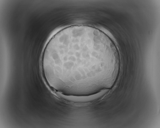 X0000086221440200704261827