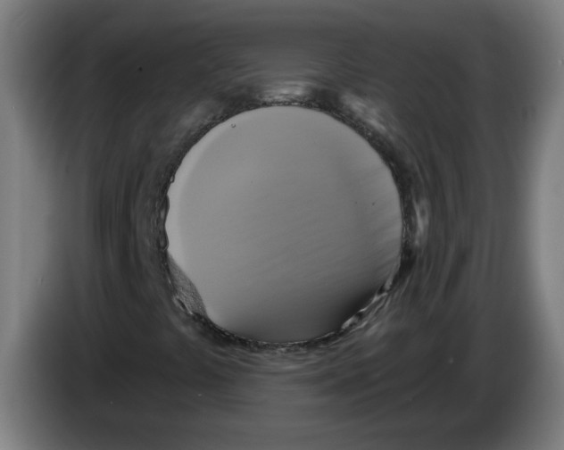 X0000086221441200704261827