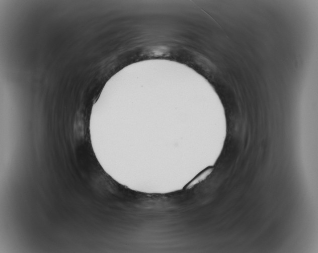 X0000086221442200704261827