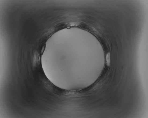 X0000086221443200704261827