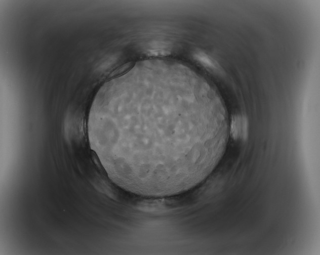 X0000086221444200704261827