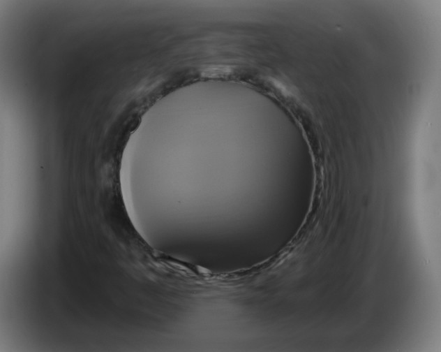 X0000086221445200704261827