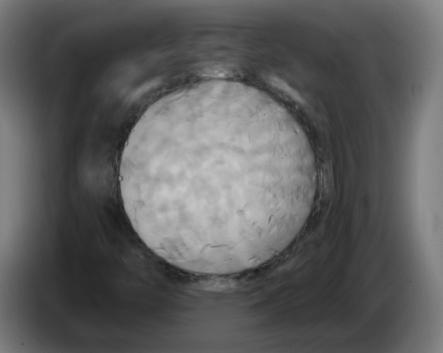 X0000086221446200704261827