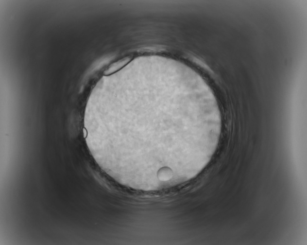 X0000086221448200704261827