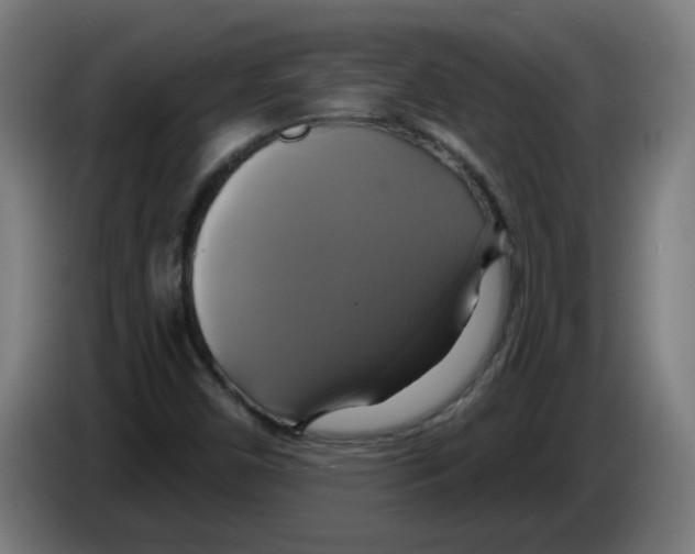 X0000086221450200704261827