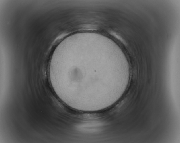 X0000086221451200704261827