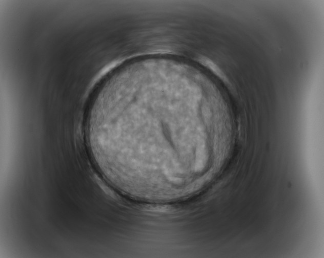 X0000086221452200704261827