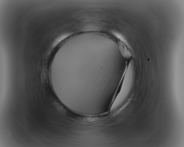 X0000086221453200704261827