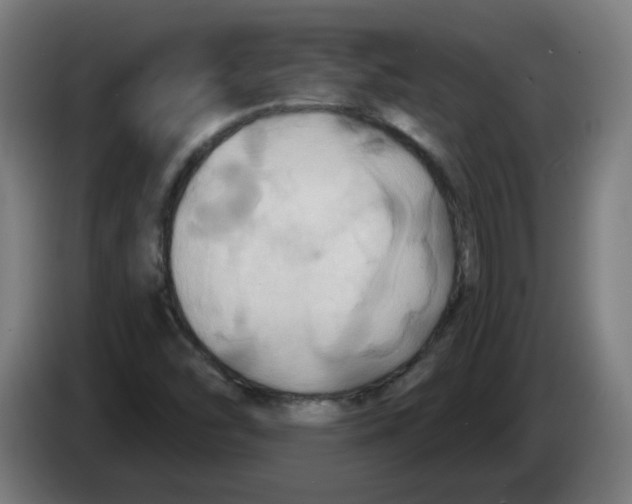 X0000086221454200704261827