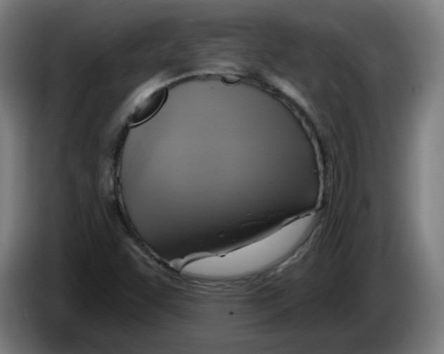 X0000086221455200704261827